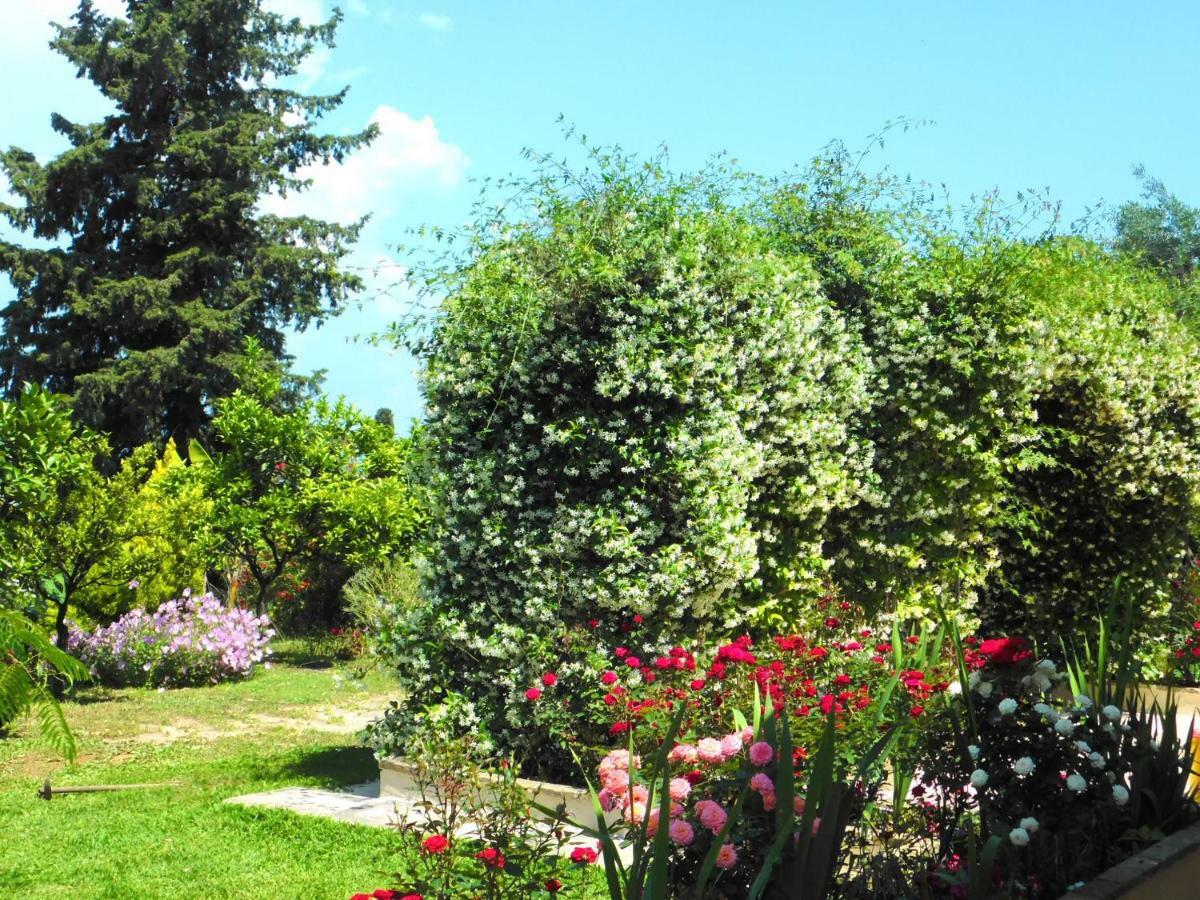 Villa Olga'S Hill Perama  Exterior foto